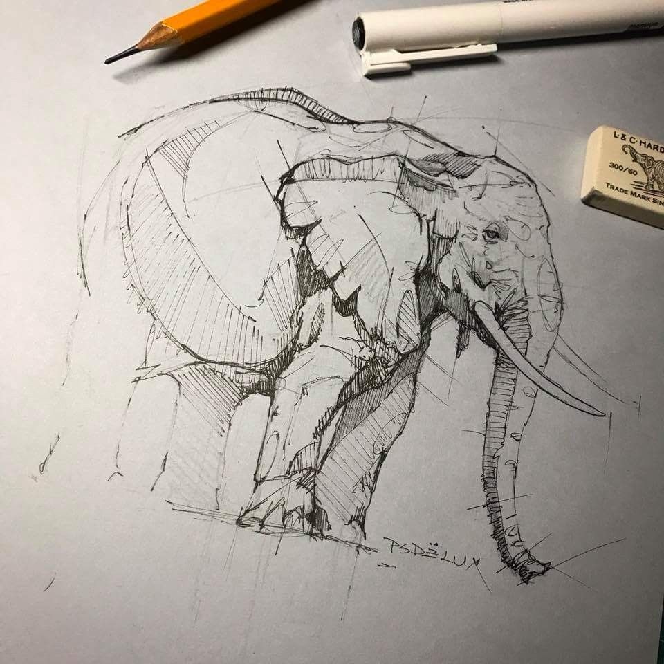 elephant 9 Elephant sketch in pen and pencil on paper, with pencil, fineliner pen and eraser — detailed hand-drawn line art. | Sky Rye Design Elephant sketch in pen and pencil on paper, with pencil, fineliner pen and eraser — detailed hand-drawn line art.