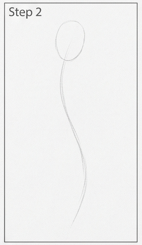 Step 2 drawing tutorial showing an oval head and long S-shaped gesture line for figure sketch.