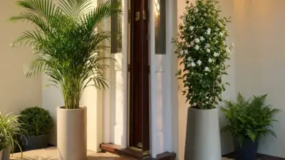Front door with tall potted palm, white-flowering vine and ferns in modern planters — entryway plants and porch decor