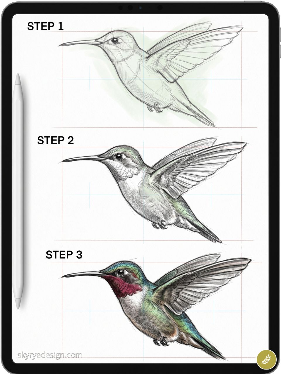 Hummingbird drawing tutorial on tablet: step-by-step pencil sketch to full-color illustration with stylus