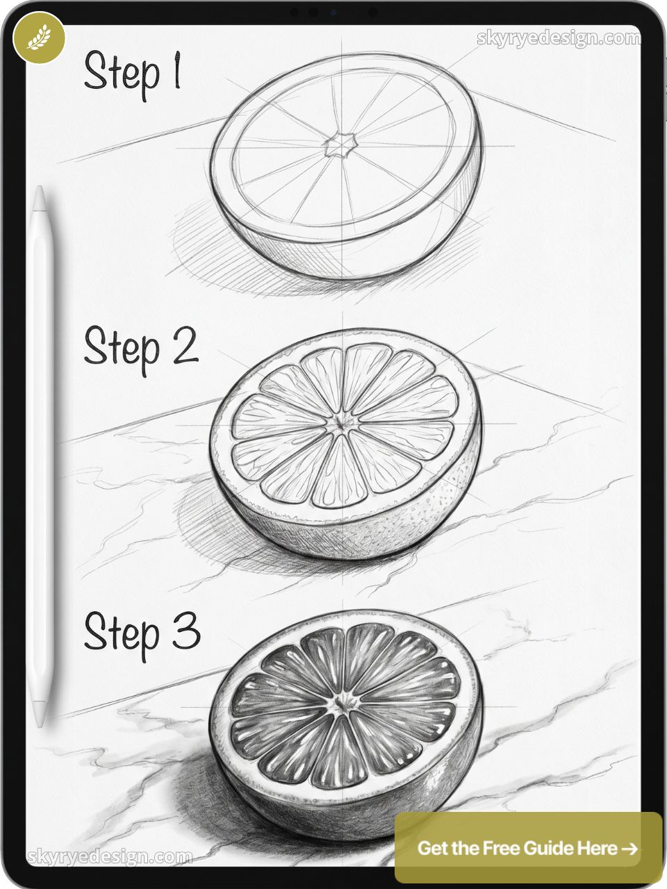 Step-by-step pencil drawing tutorial of a halved orange on tablet: simple sketch to detailed shaded citrus slice with stylus.