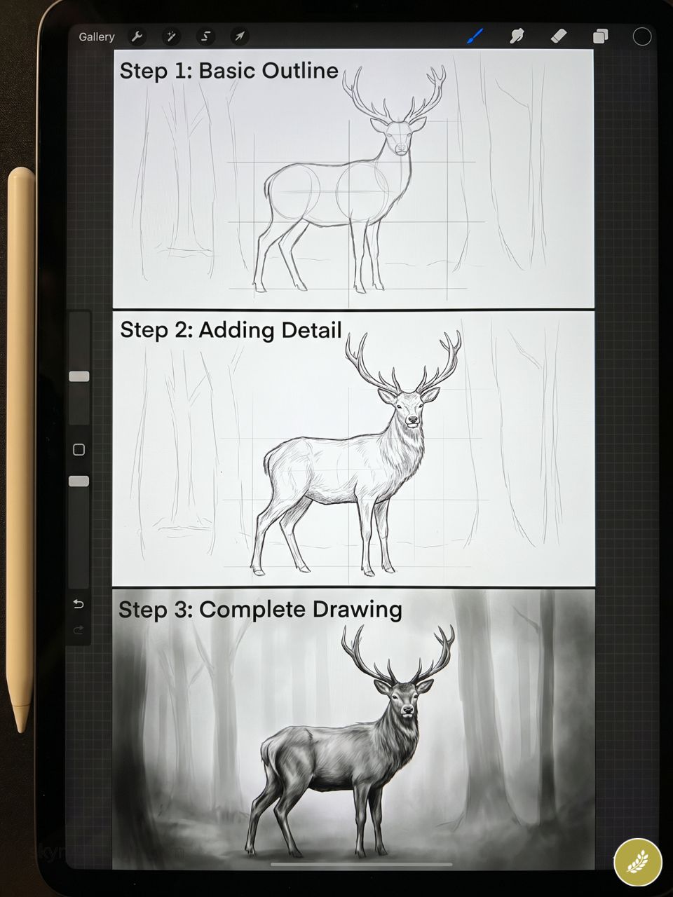 Step-by-step digital deer drawing tutorial on tablet showing outline, added detail, and finished stag