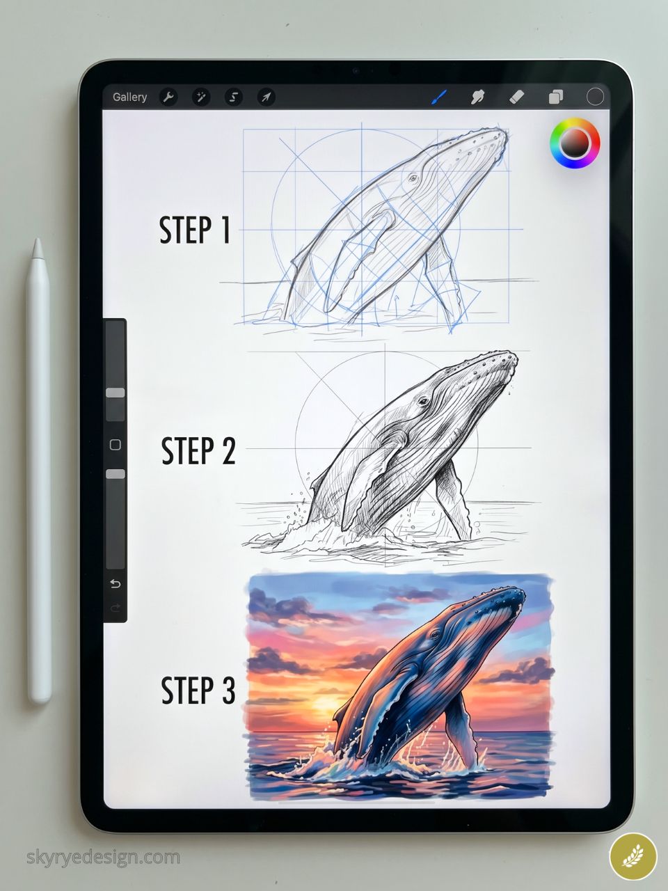 iPad Procreate step-by-step whale illustration: sketch, line art, and colored breaching whale with Apple Pencil.