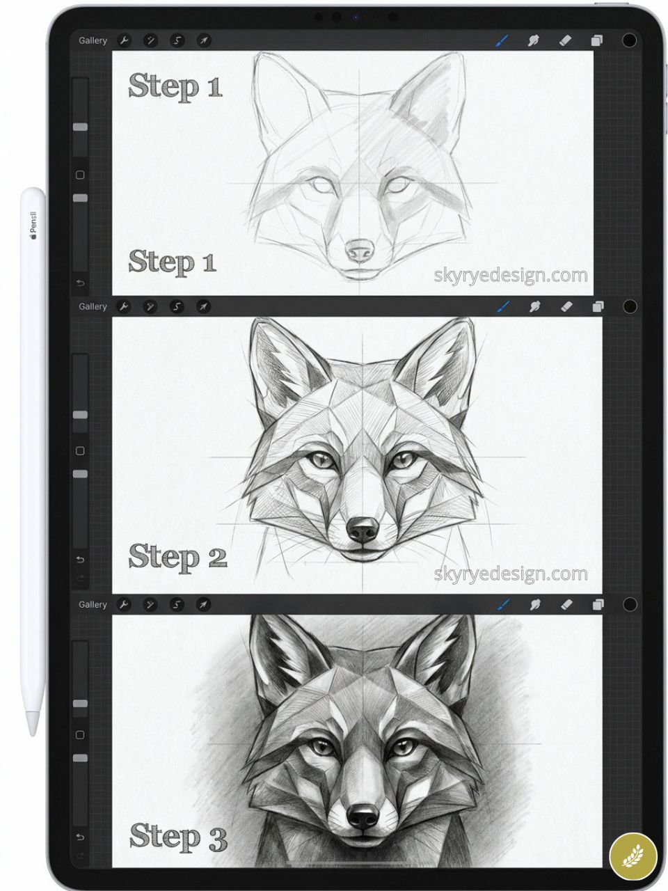 Step-by-step fox drawing tutorial on iPad showing pencil sketches progressing from basic outline to detailed shading.