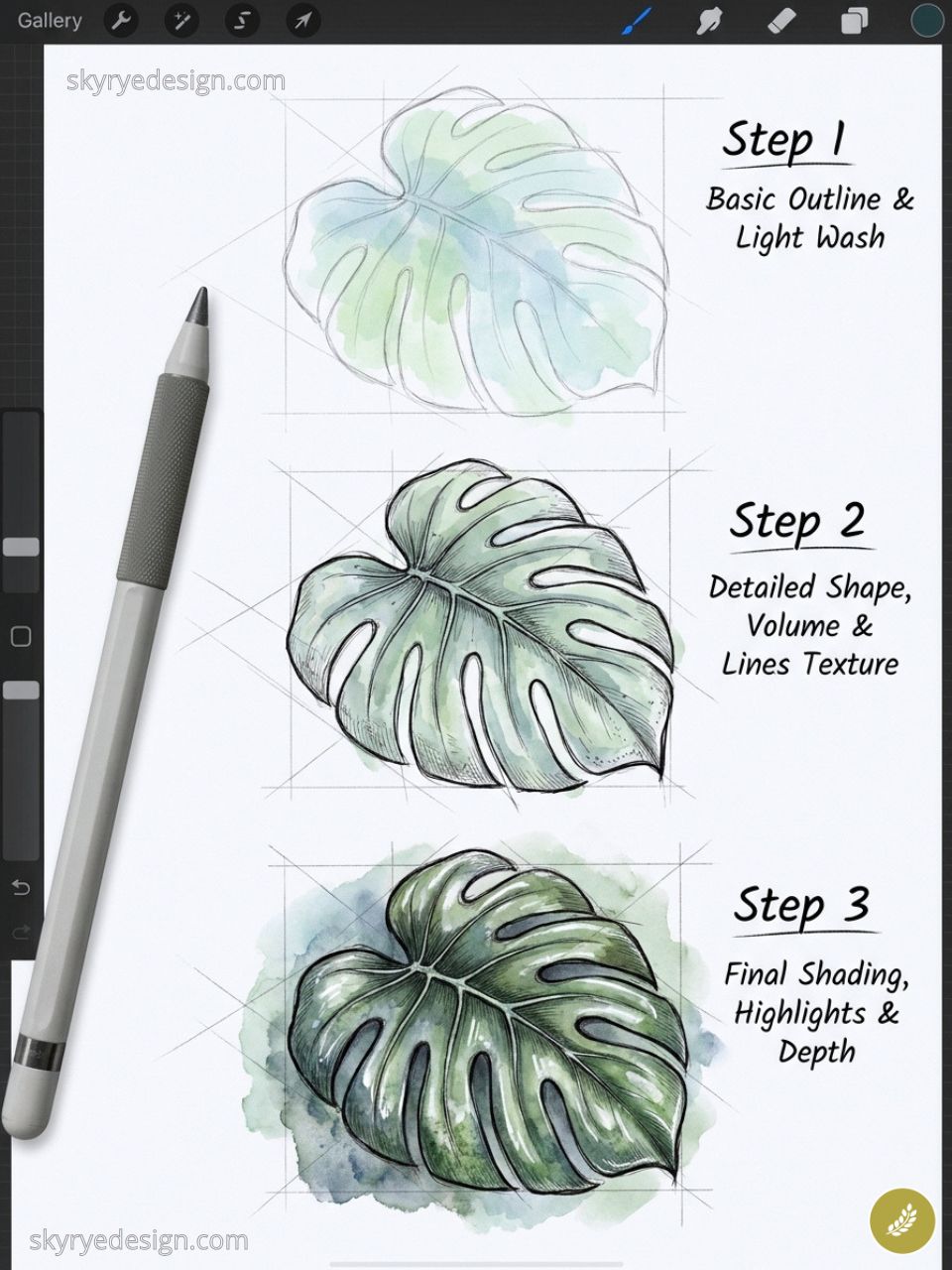 Three-step digital tutorial showing a Monstera leaf watercolor illustration process with stylus: outline, detail, shading
