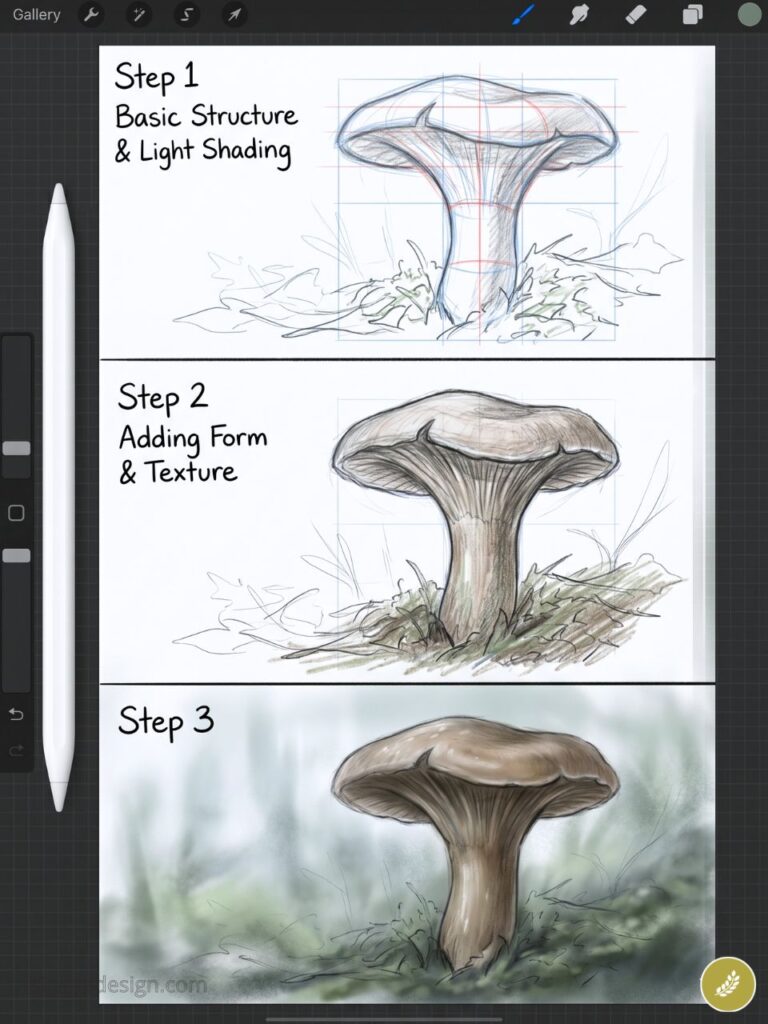 Step-by-step mushroom drawing tutorial: sketch, added form & texture, final painted mushroom illustration with stylus