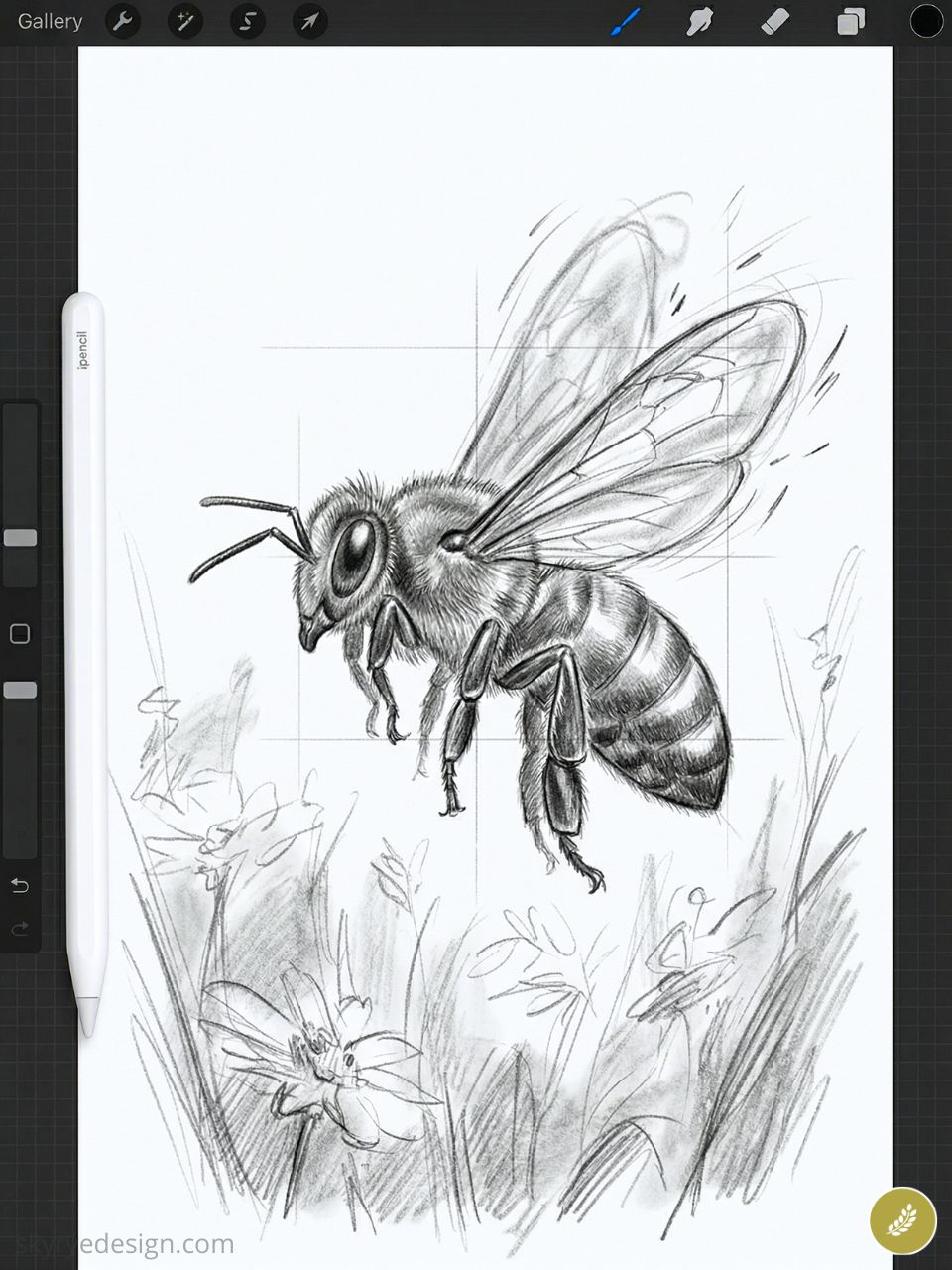 High-detail pencil sketch of a honeybee hovering over wildflowers on an iPad Procreate canvas with Apple Pencil