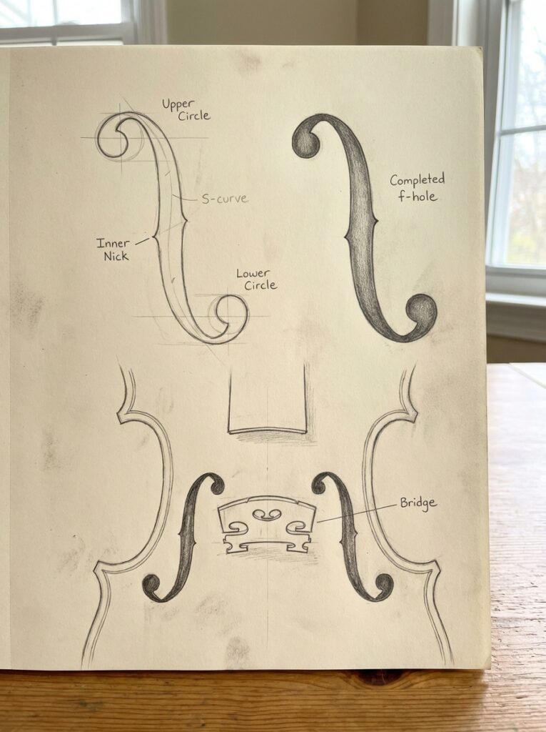 56fd54ec-2a69-4783-aa74-938c56088443 Violin f-hole sketch diagram: pencil drawing of f-holes and bridge with labeled parts (upper/lower circle, S-curve) | Sky Rye Design Violin f-hole sketch diagram: pencil drawing of f-holes and bridge with labeled parts (upper/lower circle, S-curve)
