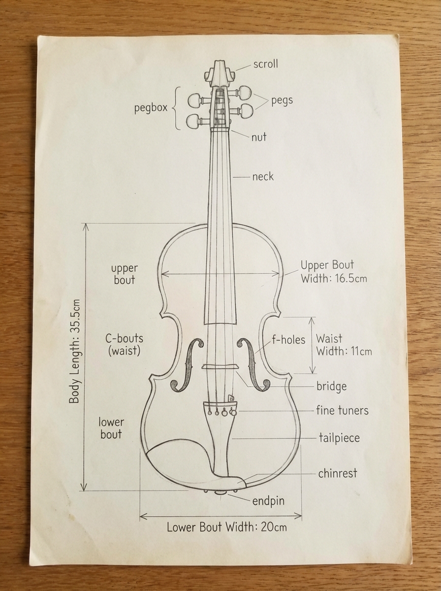 f99f6b27-44a7-401e-8b11-112bb9c0cb34 Labeled violin parts and measurements diagram on paper: scroll, pegs, neck, f-holes, bridge, tailpiece, chinrest. | Sky Rye Design Labeled violin parts and measurements diagram on paper: scroll, pegs, neck, f-holes, bridge, tailpiece, chinrest.