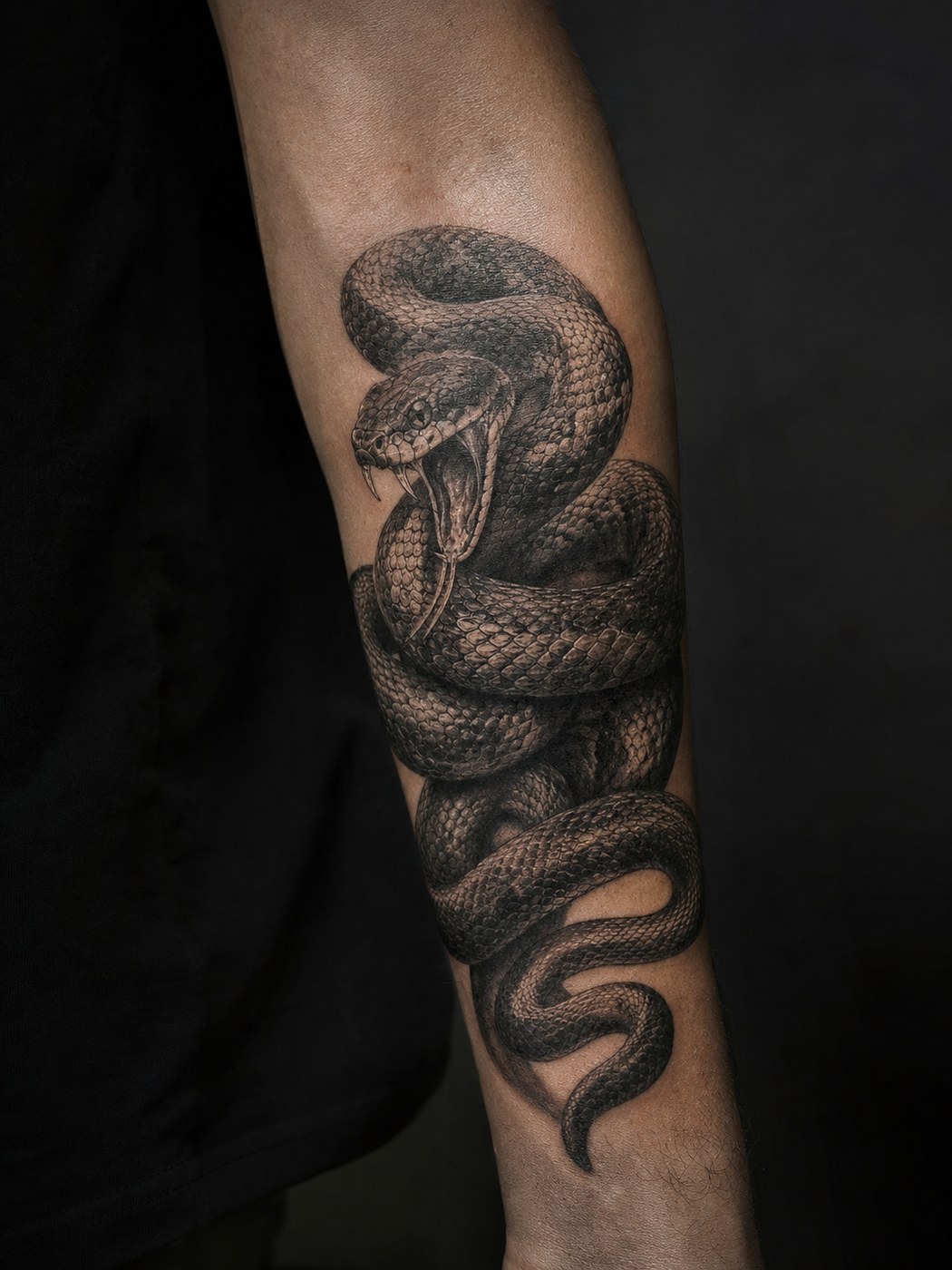 Close-up of a black and grey coiled viper tattoo on a forearm.