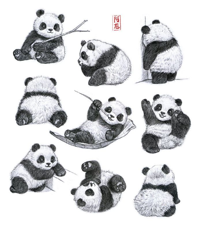 Cute hand-drawn black-and-white sketches of nine baby pandas in playful poses