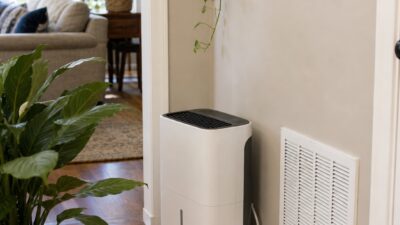 Bright home interior with a small dehumidifier, HVAC vent, wood floor, and indoor plants for humidity control.