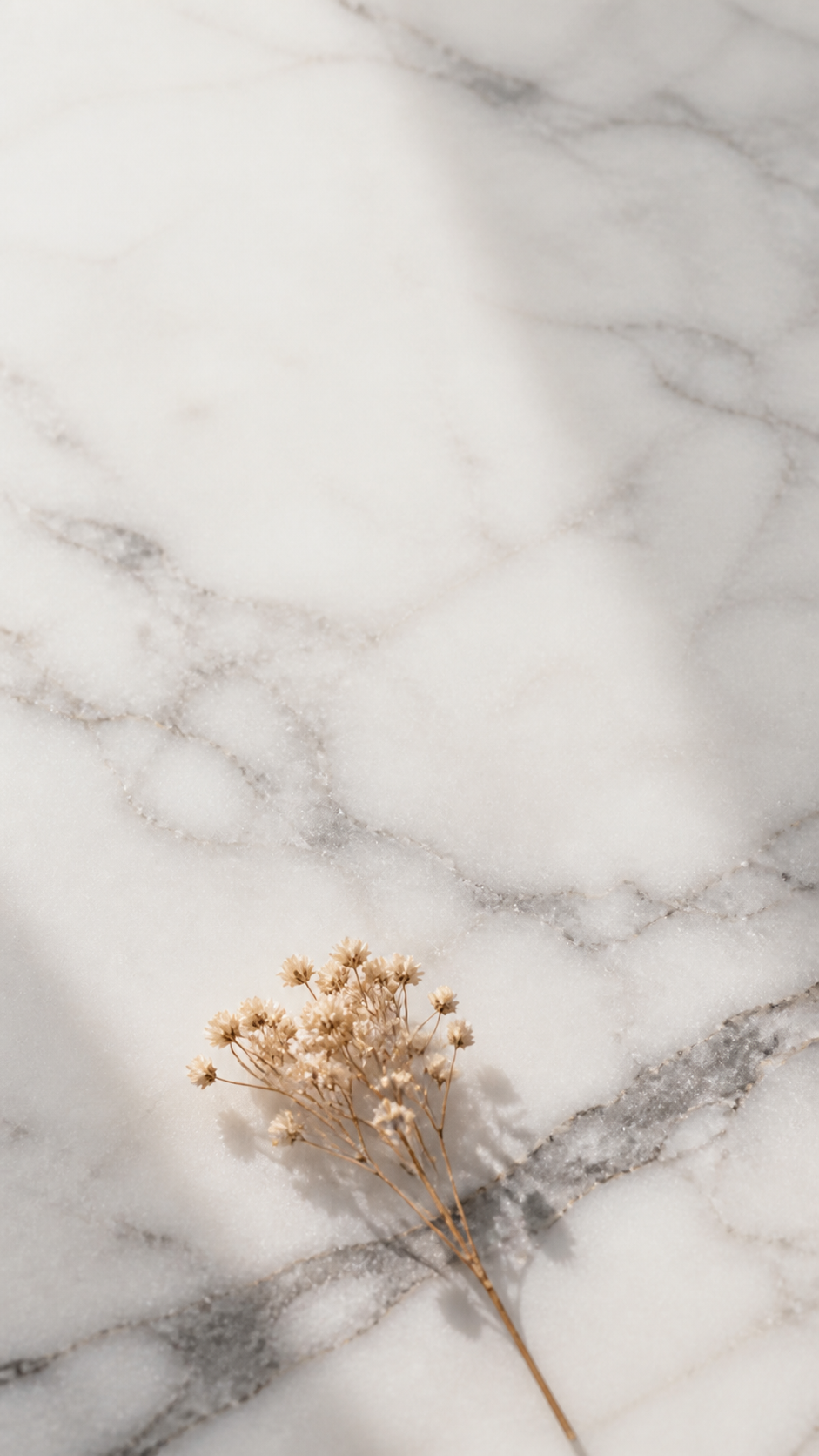 Marble stone aesthetic wallpaper digital HD with white marble texture and dried beige flowers.