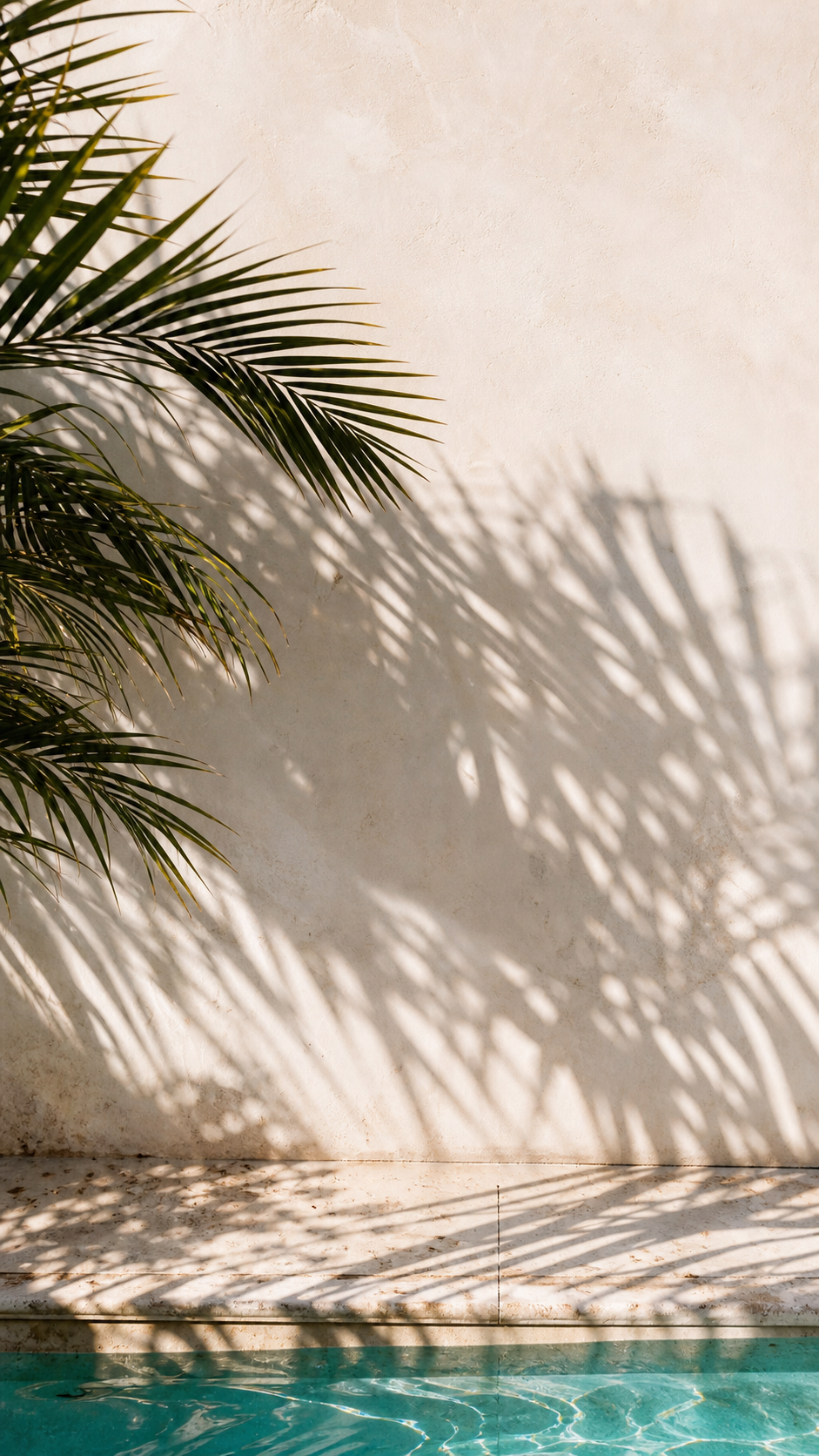 Tropical wallpaper estetik with palm leaf shadows, sandy wall, and turquoise water.