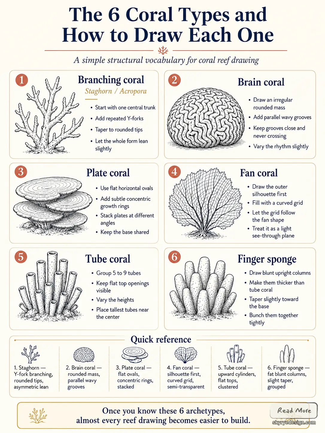 Infographic: six coral types with labeled sketches and drawing tips — branching, brain, plate, fan, tube, finger.
