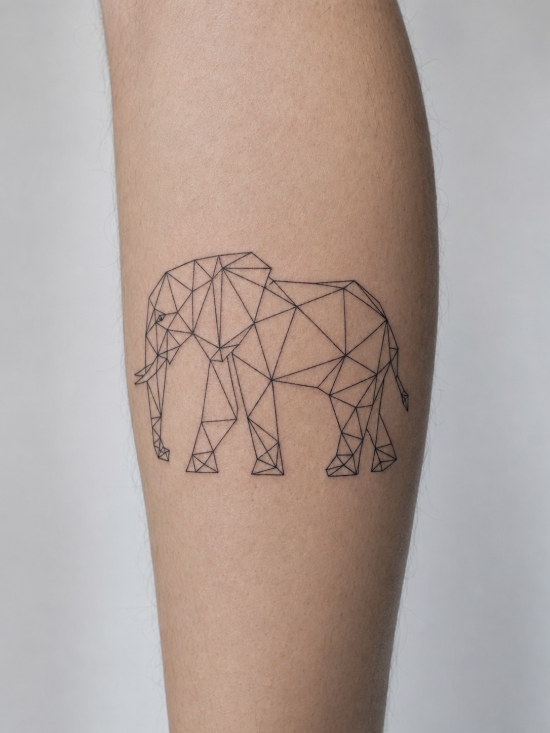 Geometric wireframe elephant tattoo made from fine triangular line facets.