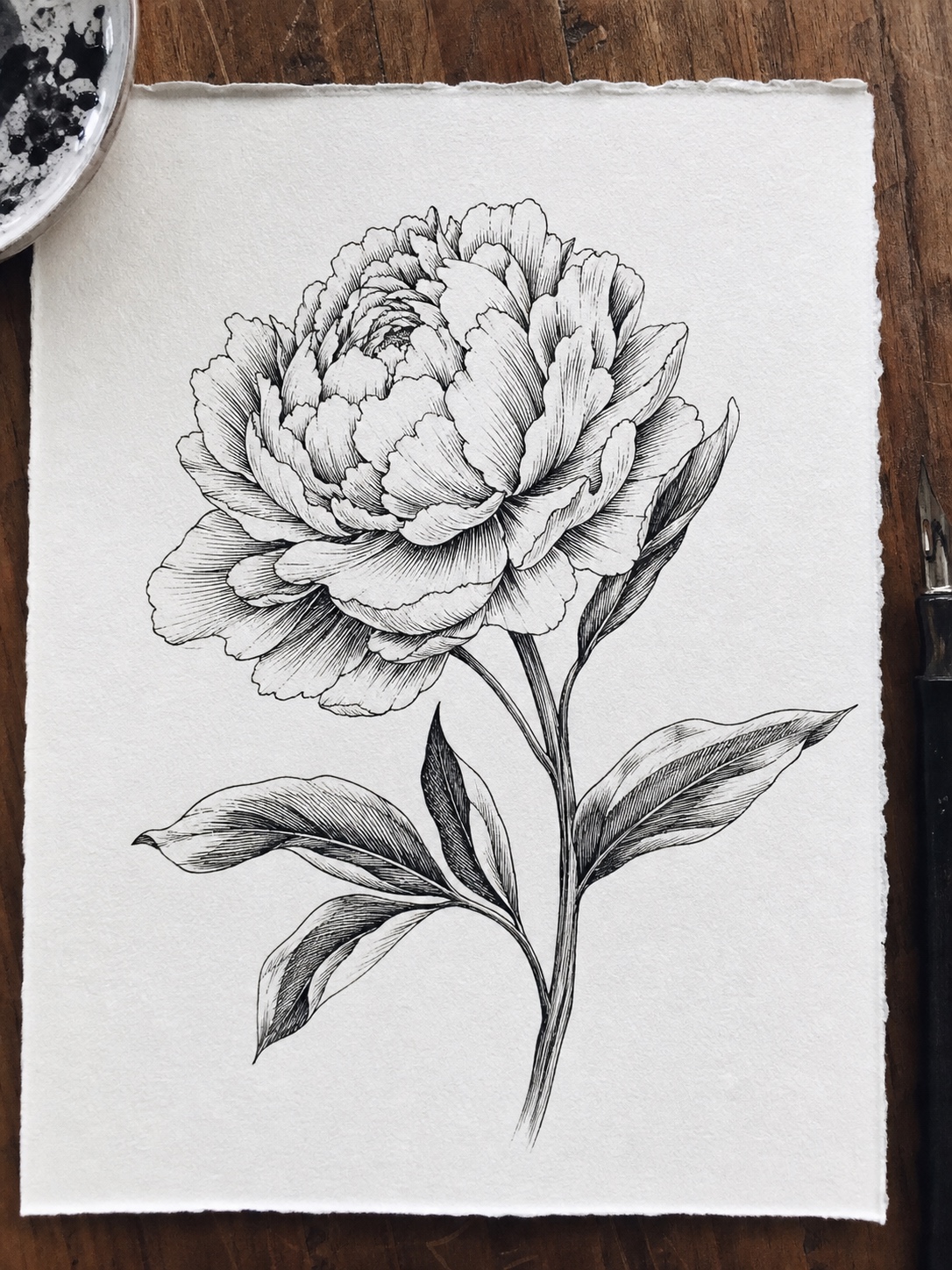 Finished black ink illustration of a blooming peony with varied line weight and hatched shadows.