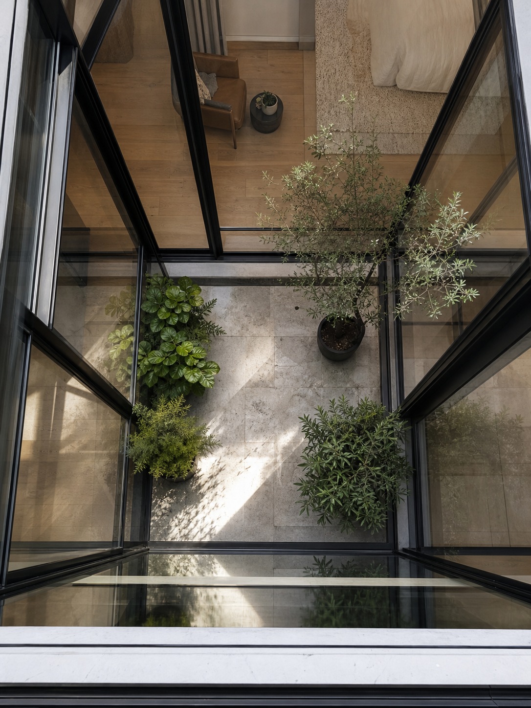 Birds-eye view of a small interior courtyard A bird’s-eye view looks down into a small interior courtyard surrounded by glass-walled rooms. | Sky Rye Design A bird’s-eye view looks down into a small interior courtyard surrounded by glass-walled rooms.