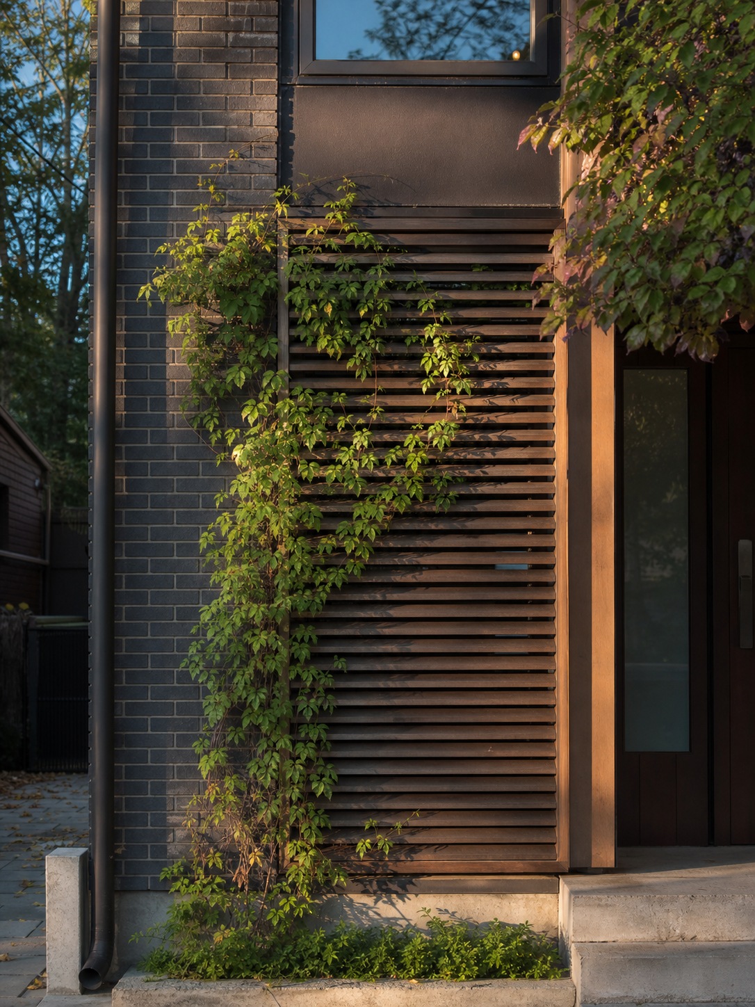 Wood louvered privacy screen on an urban home A wood louvered privacy screen with climbing vines filters light across a ground-floor window. | Sky Rye Design A wood louvered privacy screen with climbing vines filters light across a ground-floor window.