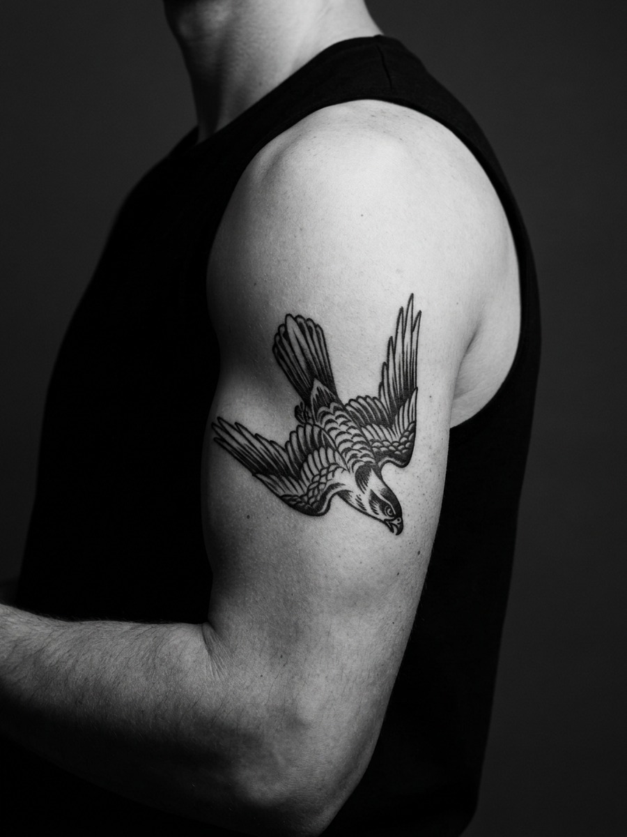 Hawk or falcon in a steep diving pose on a man's shoulder and upper arm.