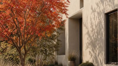 Chinese pistache in fall color beside a greige stucco facade, buff gravel path, and ornamental grasses.