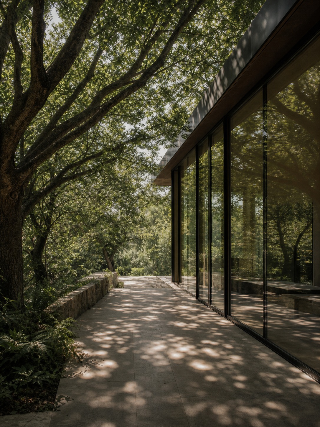 Deciduous canopy shading glass facade Deciduous tree canopy filtering sunlight across a modern glass facade. | Sky Rye Design Deciduous tree canopy filtering sunlight across a modern glass facade.