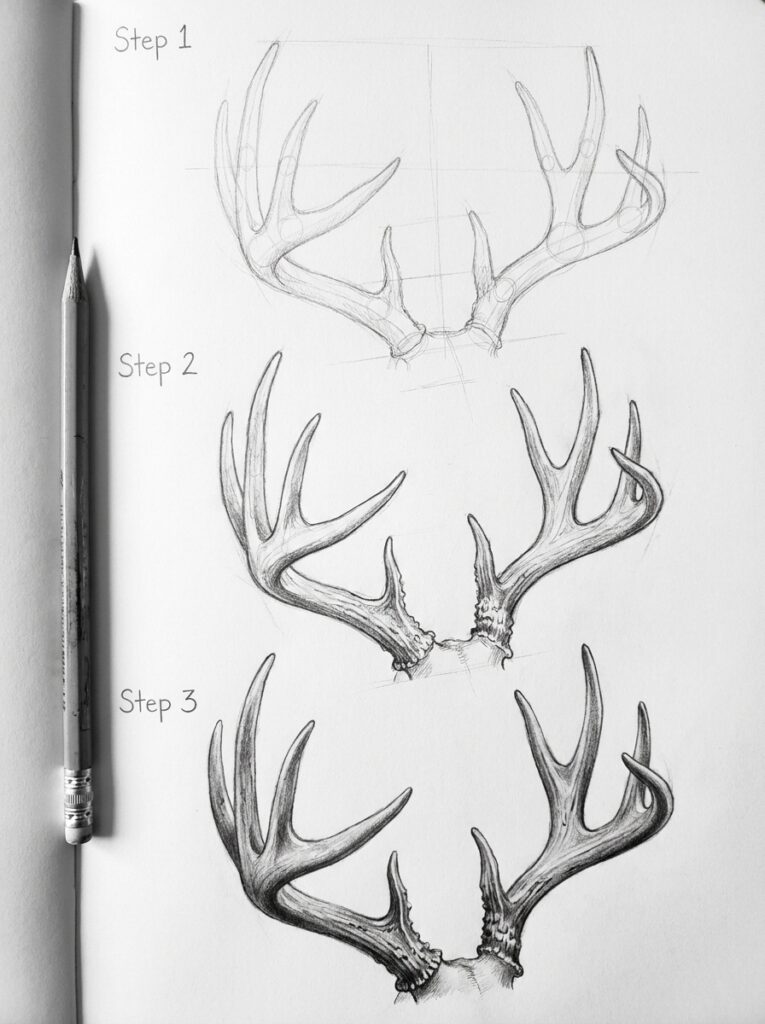 Three-step pencil tutorial showing how to draw deer antlers on a sketchbook page, with a pencil at left