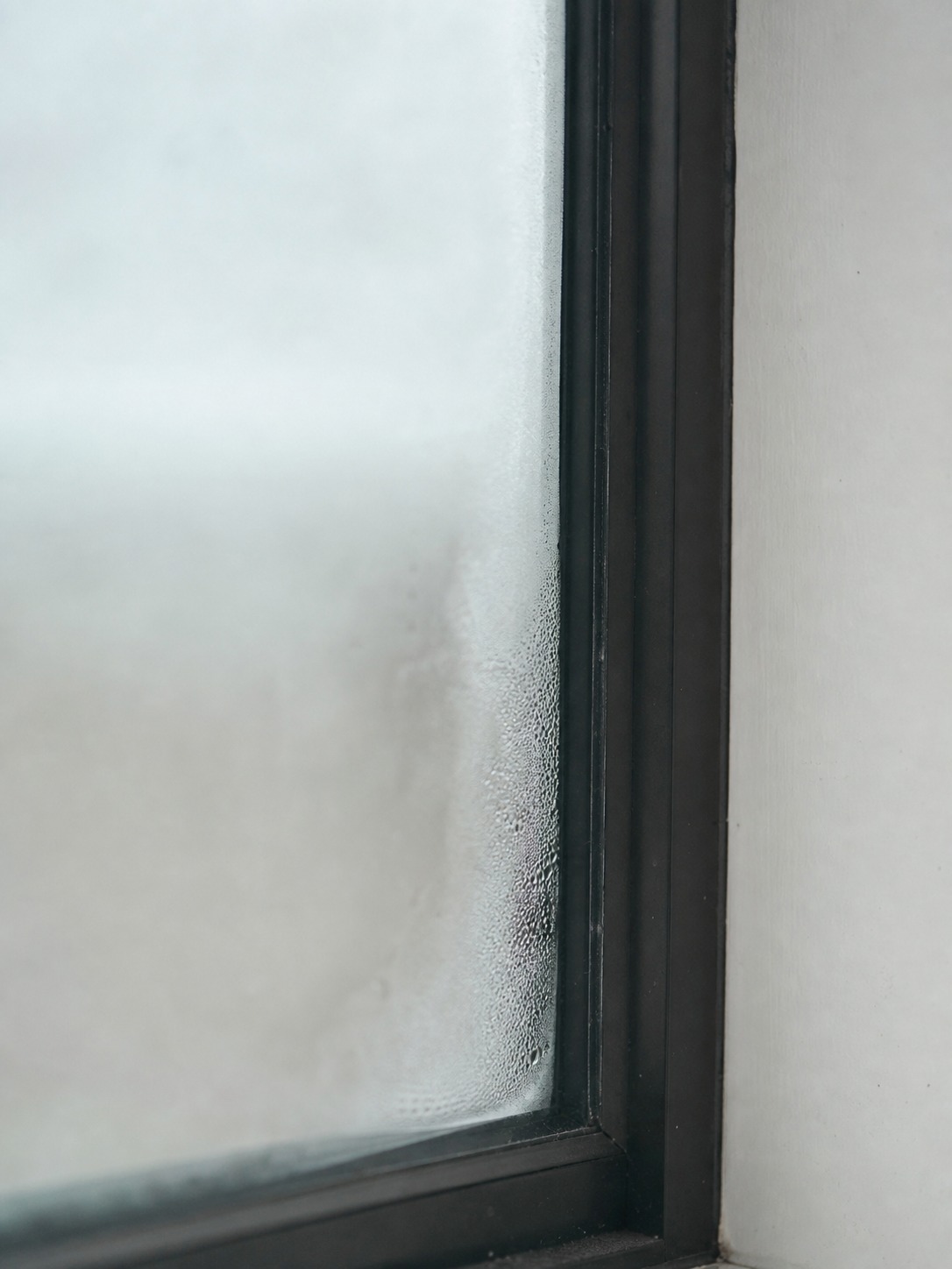 Close detail of moisture fogging trapped between window panes beside a crisp frame edge.