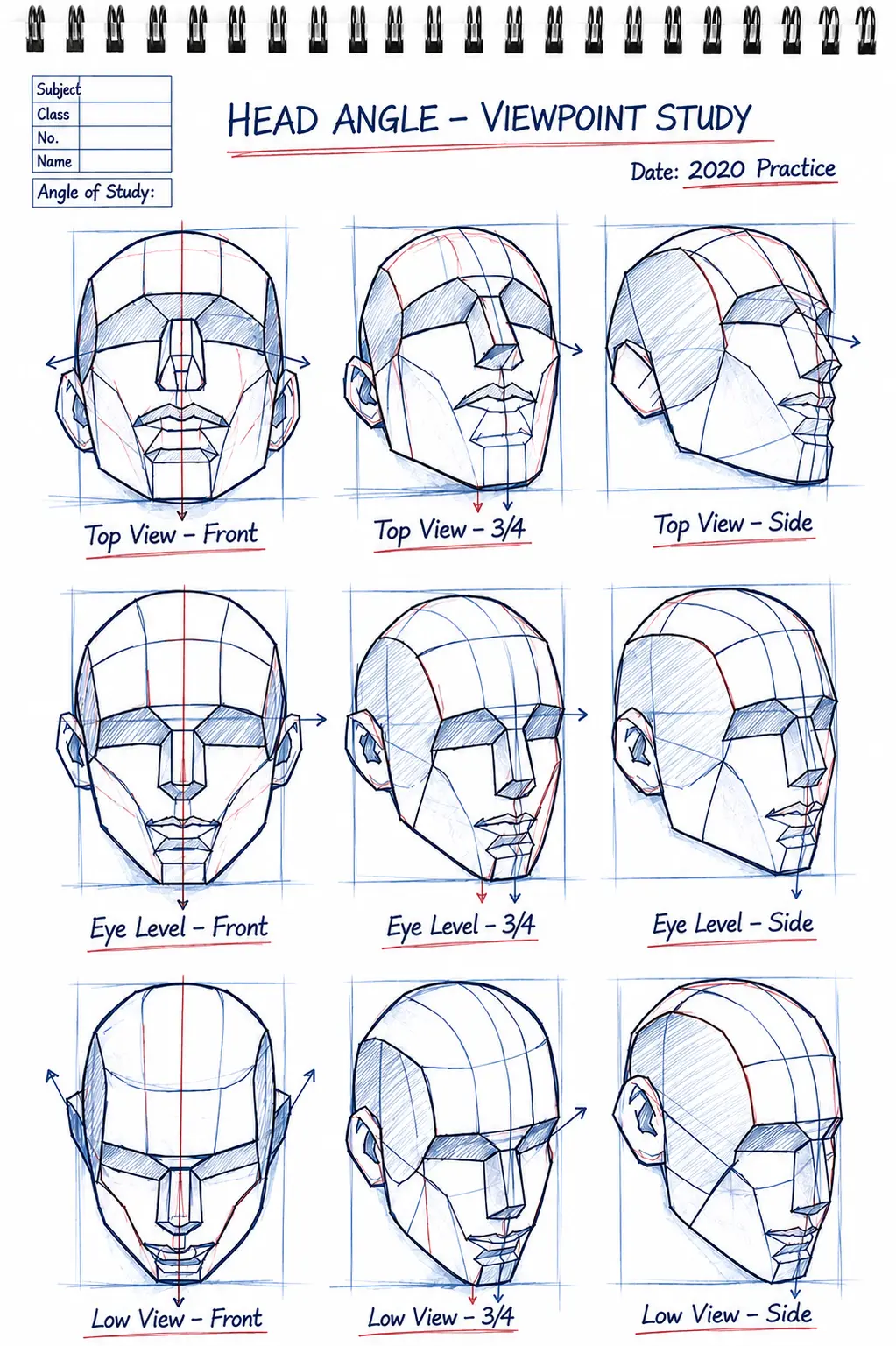 9cb052c9-0be7-4f0f-a20c-c10074944b30 Head angle viewpoint study: 9 construction sketches (top/eye/low × front/3/4/side) for drawing head anatomy reference. | Sky Rye Design Head angle viewpoint study: 9 construction sketches (top/eye/low × front/3/4/side) for drawing head anatomy reference.