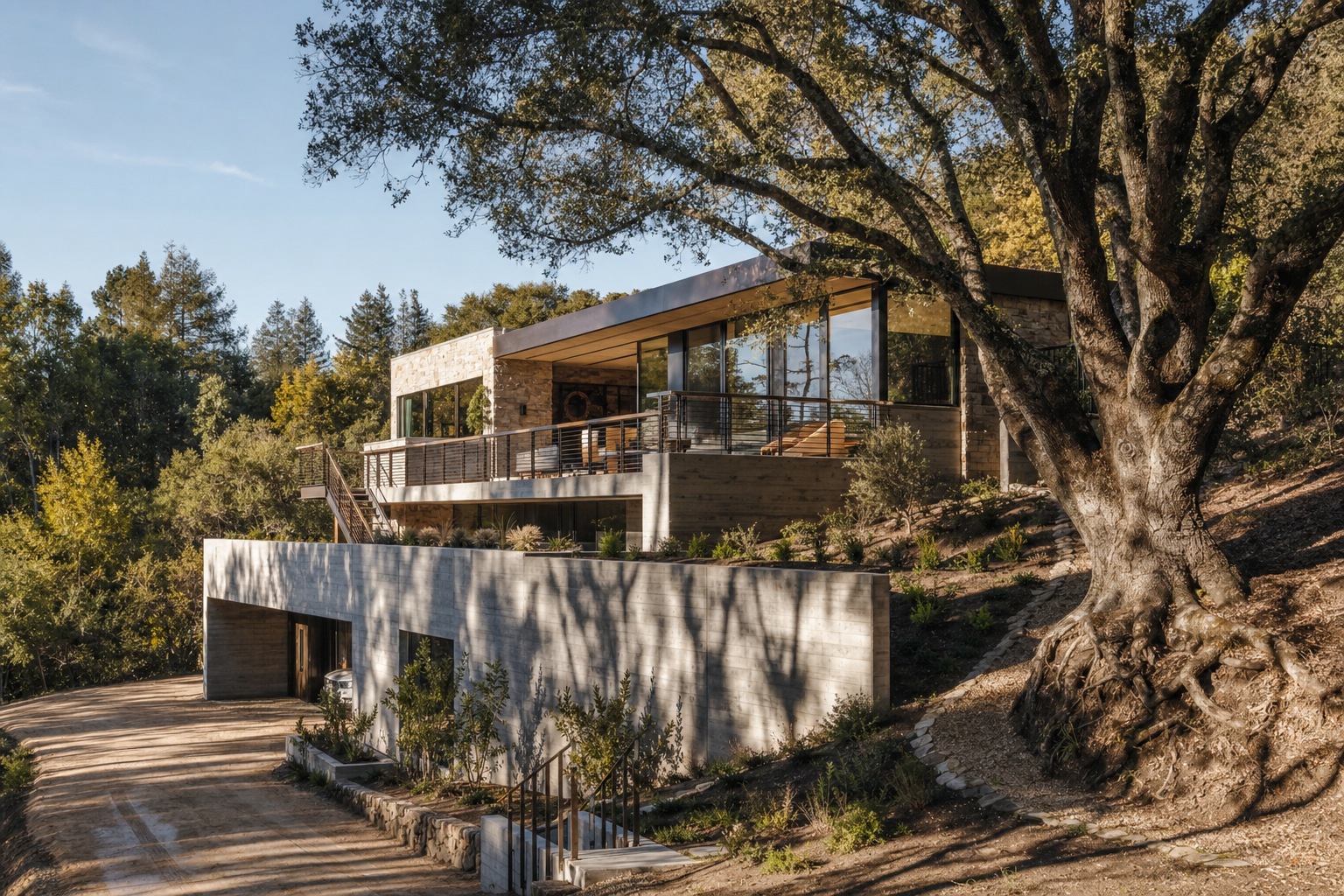 Site sloped lot retained oak preserved view corridor Modern custom home stepping down a sloped Hillsborough lot around a preserved oak tree. | Sky Rye Design Modern custom home stepping down a sloped Hillsborough lot around a preserved oak tree.