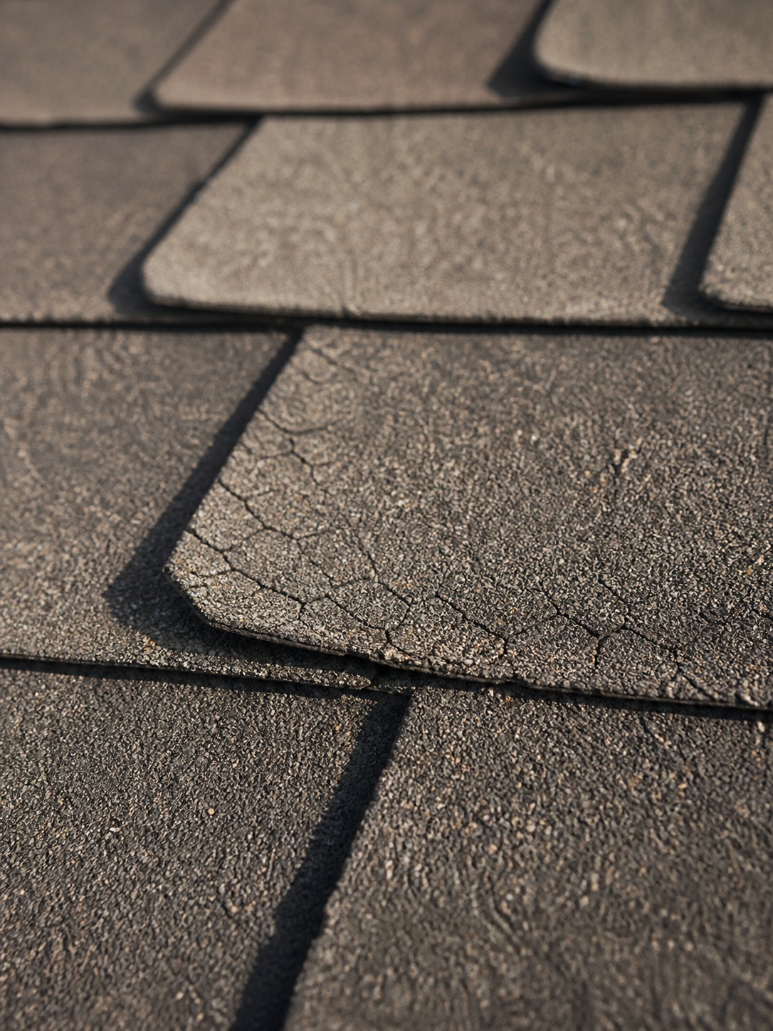 Curled and cracked shingles close detail Close view of asphalt shingles with curled edges and fine surface cracking. | Sky Rye Design Close view of asphalt shingles with curled edges and fine surface cracking.