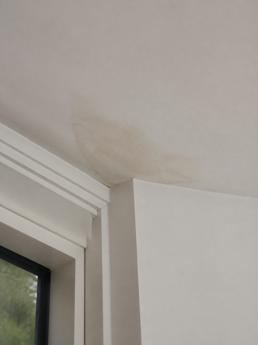 Interior ceiling stain detail Soft brown water stain in a white ceiling corner near the roofline. | Sky Rye Design Soft brown water stain in a white ceiling corner near the roofline.