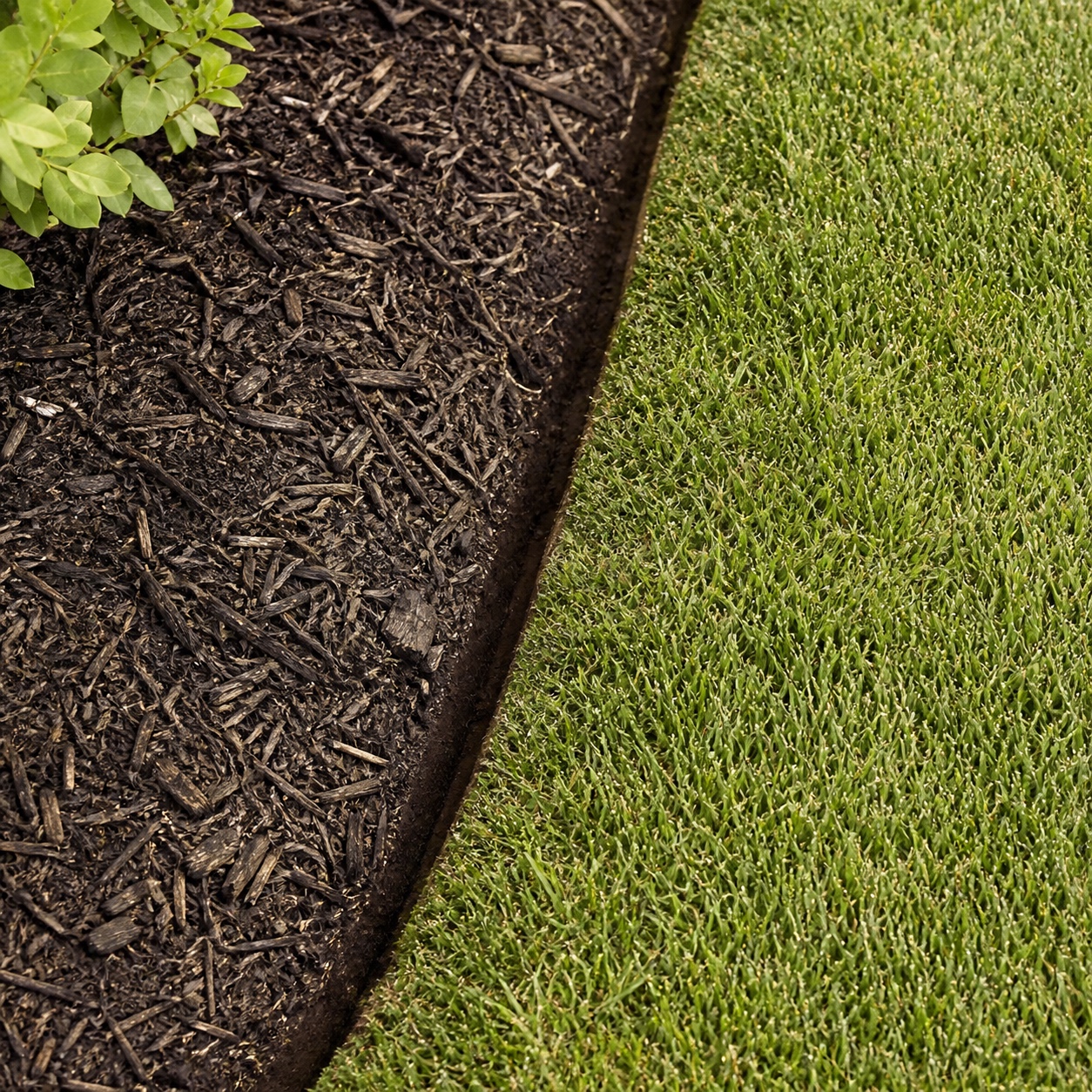 A close detail of a crisp edge between manicured lawn and a planting bed.