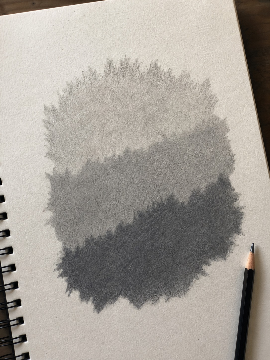 Grass value structure pencil close-up Close-up pencil study of a grass patch blocked into light, mid-tone, and shadow zones. | Sky Rye Design Close-up pencil study of a grass patch blocked into light, mid-tone, and shadow zones.