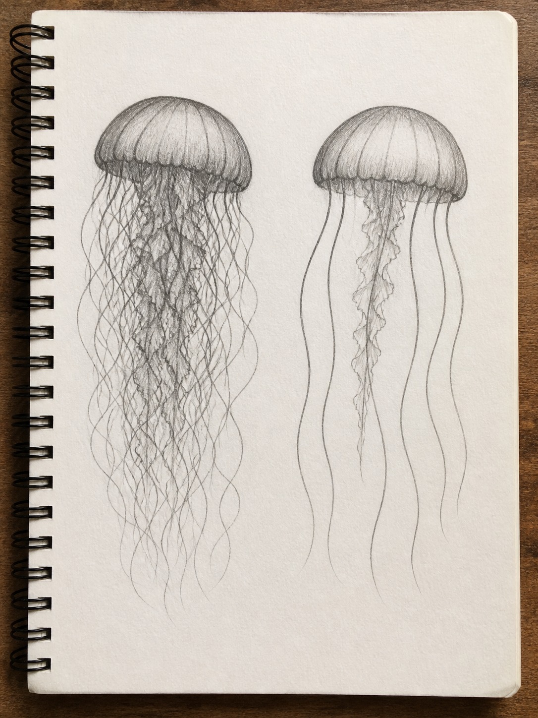 Overcrowded and clean jellyfish tentacle comparison Comparison sketch showing an overcrowded jellyfish beside a cleaner version with spaced tentacles. | Sky Rye Design Comparison sketch showing an overcrowded jellyfish beside a cleaner version with spaced tentacles.