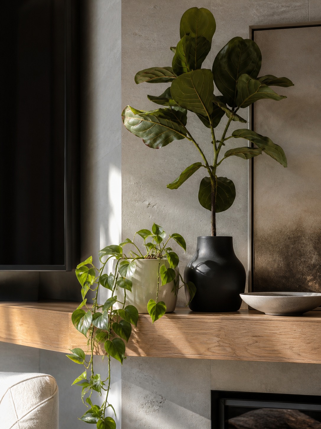 Real and faux plant vignette on oak shelf Real trailing pothos beside a faux fiddle leaf branch with varied leaves on a floating oak shelf. | Sky Rye Design Real trailing pothos beside a faux fiddle leaf branch with varied leaves on a floating oak shelf.