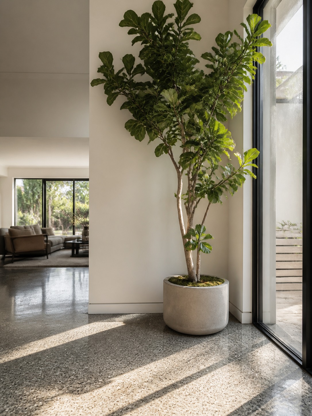 Statement plant in open-plan living room corner Tall statement plant filling an empty corner beside floor-to-ceiling glazing in a modern open-plan living room. | Sky Rye Design Tall statement plant filling an empty corner beside floor-to-ceiling glazing in a modern open-plan living room.
