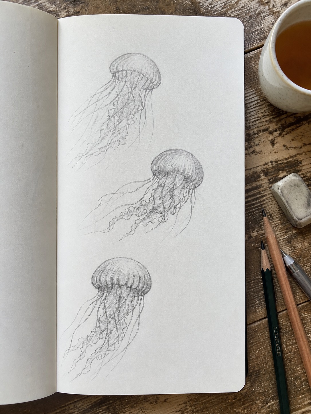 Three quick jellyfish studies in a sketchbook Open sketchbook with three quick jellyfish studies, pencils, eraser, and tea nearby. | Sky Rye Design Open sketchbook with three quick jellyfish studies, pencils, eraser, and tea nearby.