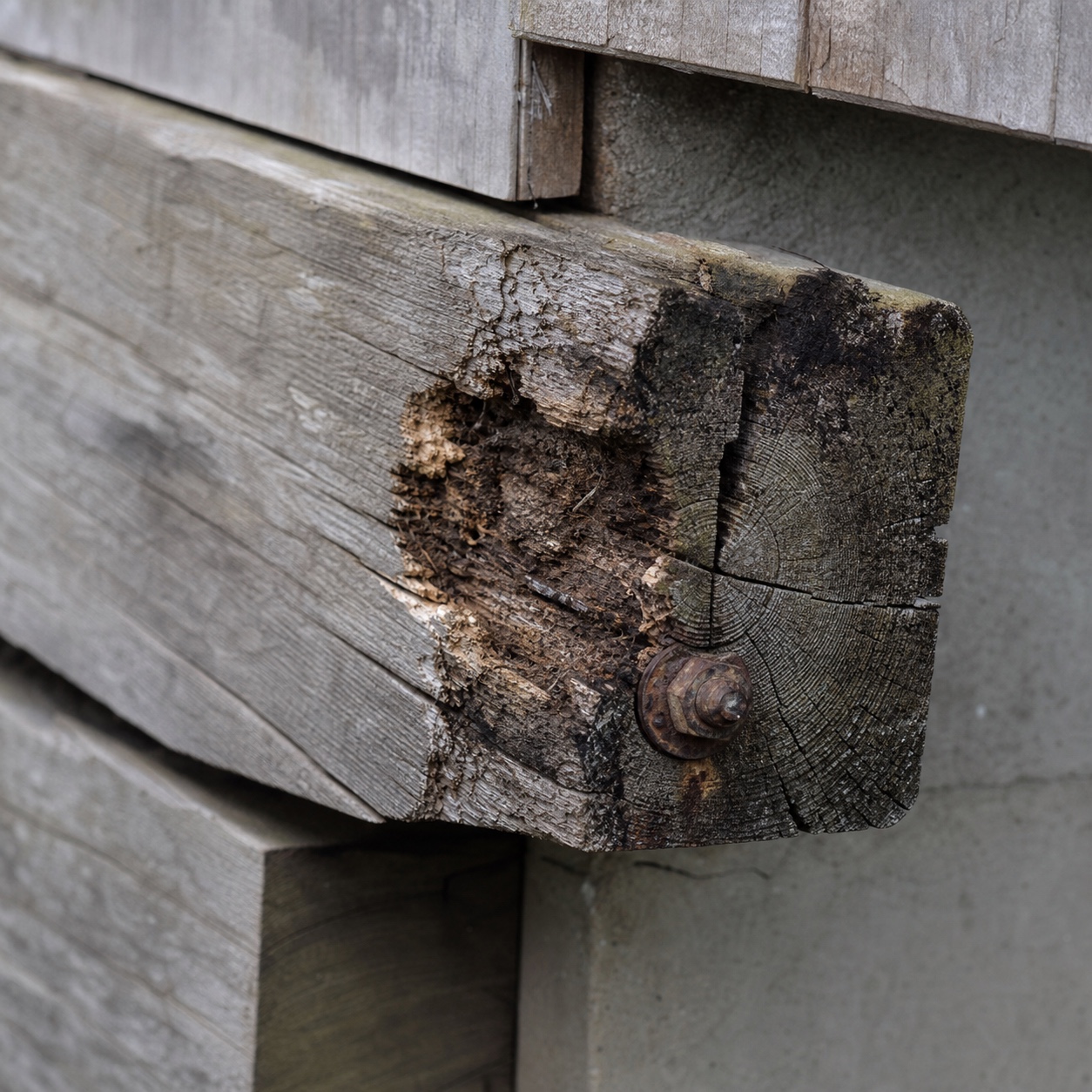 Weathered timber joint with moisture damage Close-up of a weathered timber joint with discoloration, slight splitting, and signs of moisture exposure. | Sky Rye Design Close-up of a weathered timber joint with discoloration, slight splitting, and signs of moisture exposure.