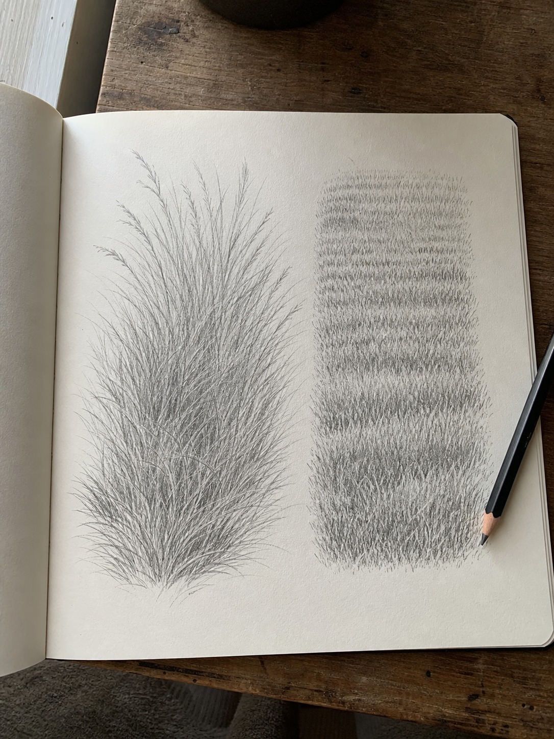 Wild grass versus mowed lawn sketchbook Side-by-side pencil studies comparing wild grass strokes with a dense mowed lawn texture. | Sky Rye Design Side-by-side pencil studies comparing wild grass strokes with a dense mowed lawn texture.