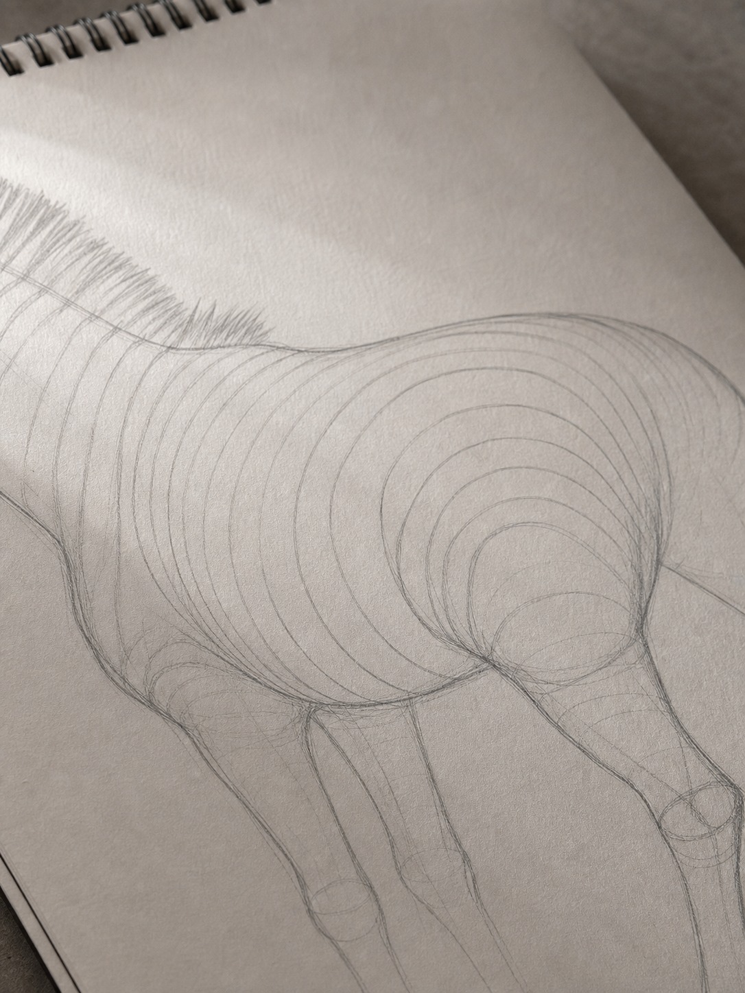Light guide curves wrapping around a zebra torso before the final stripe lines are drawn.