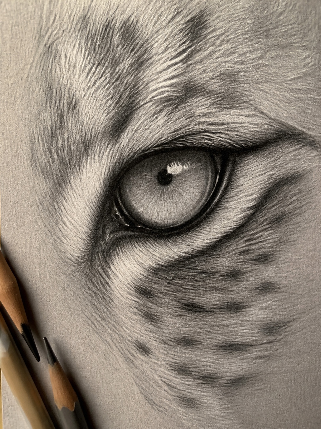 Close-up of a finished lynx eye rendering with a catchlight, iris texture, and soft socket shading.