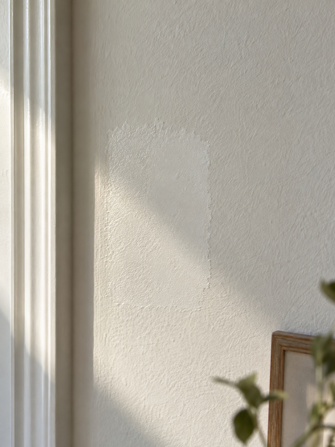 Wall paint test patches comparing color and sheen in natural daylight