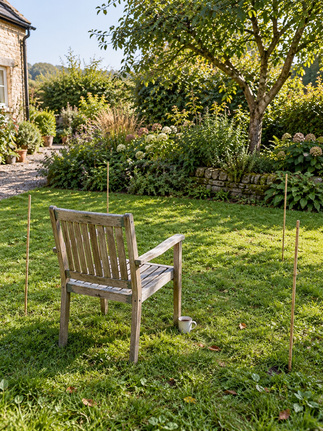 A single wooden chair placed on a garden lawn facing planting, testing the future desk position for a garden office