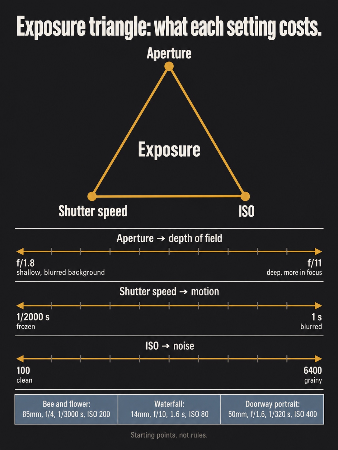 Exposure triangle trade-offs Exposure triangle infographic showing how aperture affects depth of field, shutter speed affects motion, and ISO affects noise, with example settings | Sky Rye Design Exposure triangle infographic showing how aperture affects depth of field, shutter speed affects motion, and ISO affects noise, with example settings